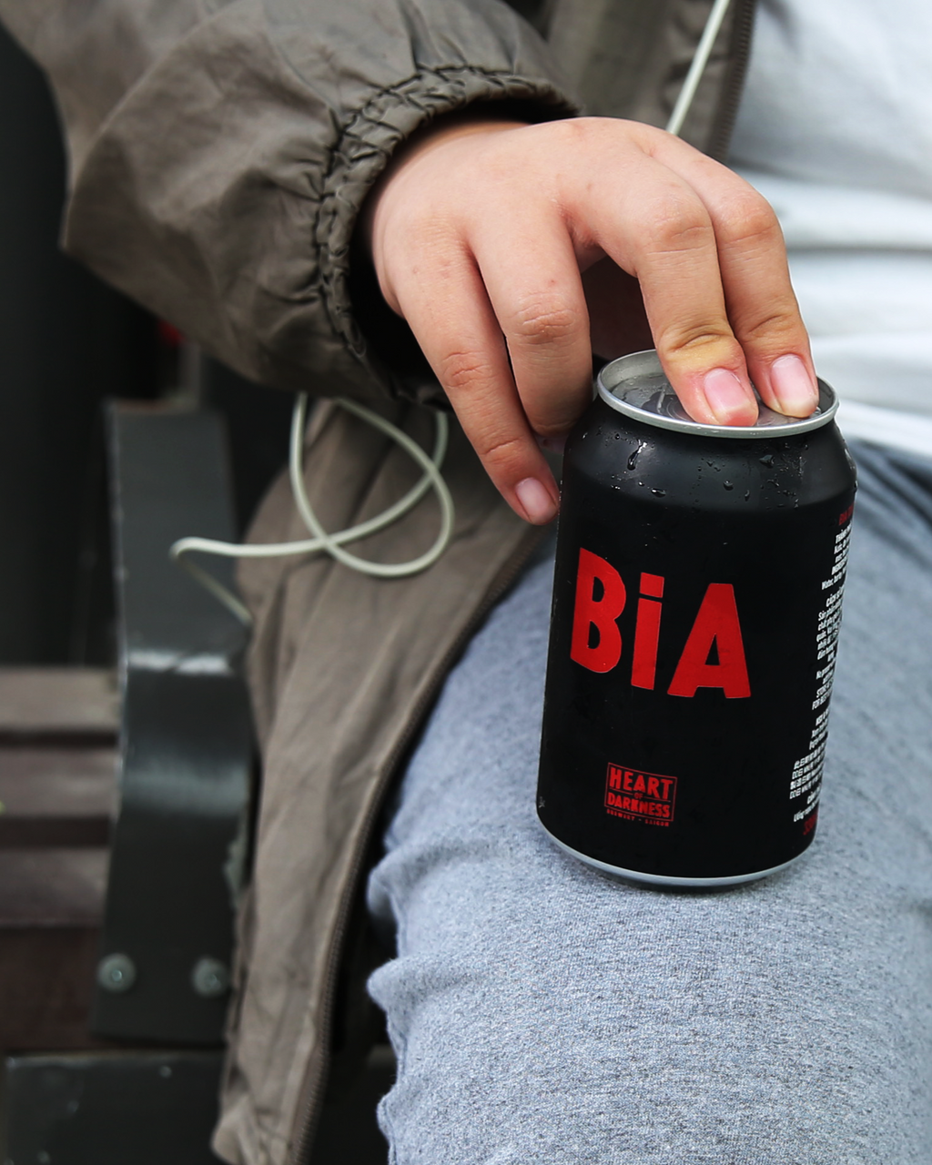 BiA - All Malt Craft Lager