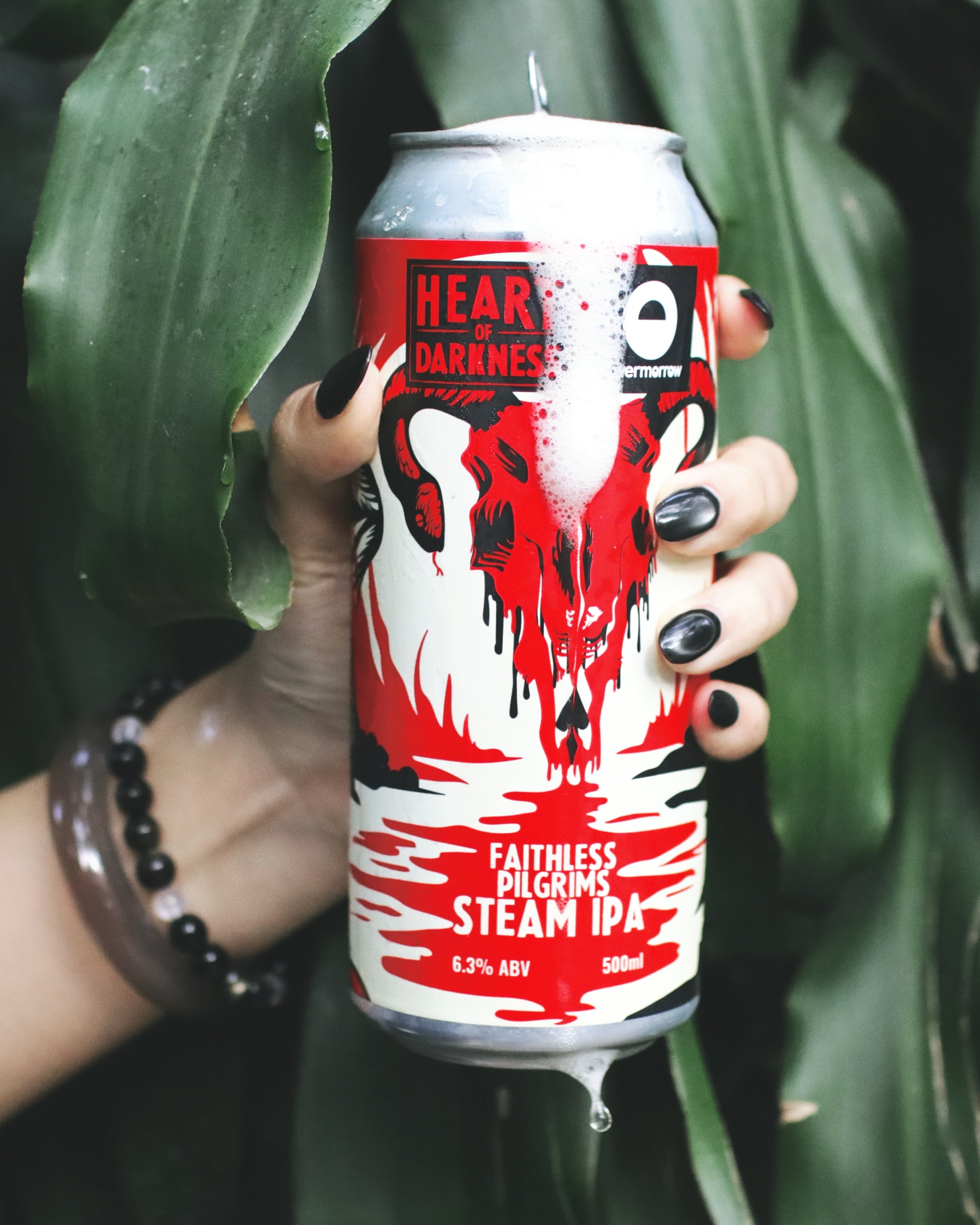 Excited Magpie Dry Irish Stout – Heart of Darkness Brewery